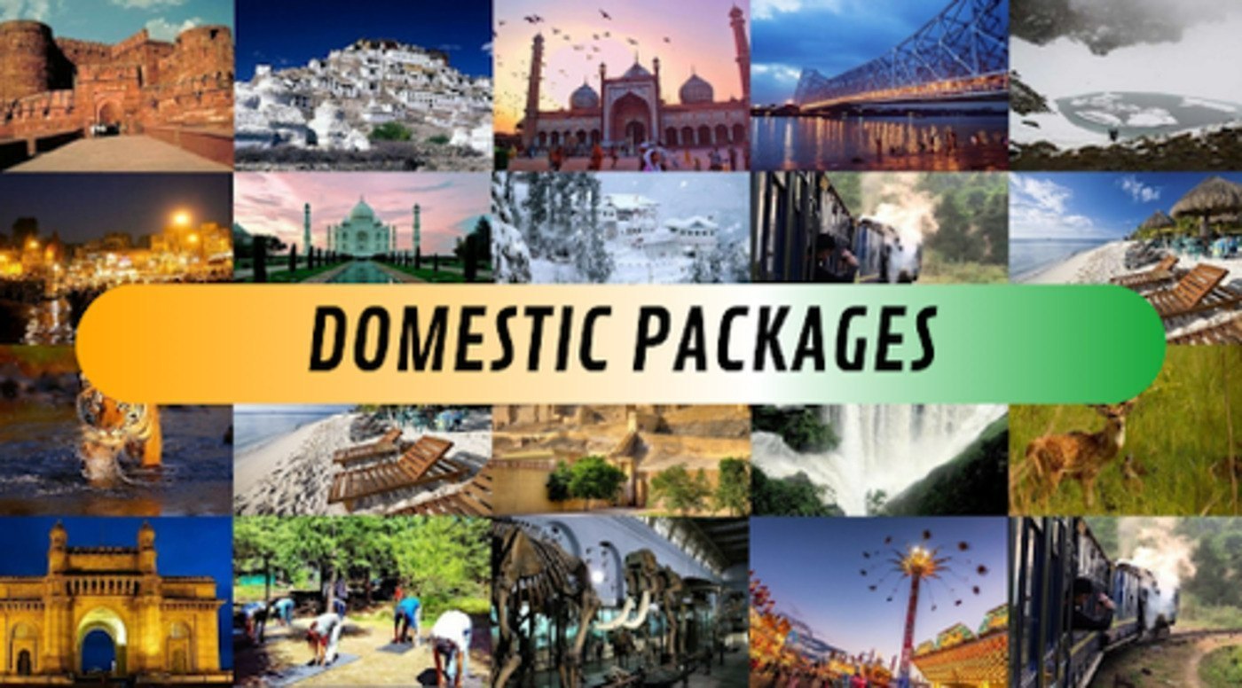 Domestic Packages